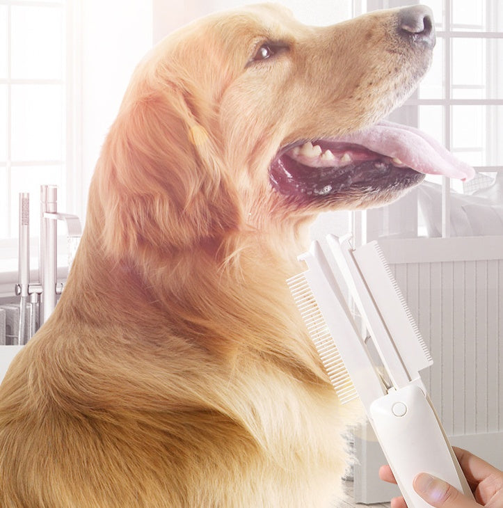 Best Brush For Your Pet