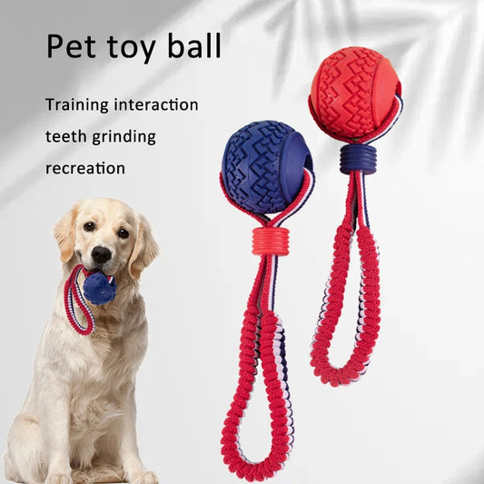Toy Ball For Your Waggin' Wonder