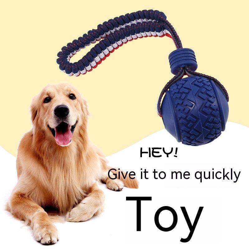 Toy Ball For Your Waggin' Wonder