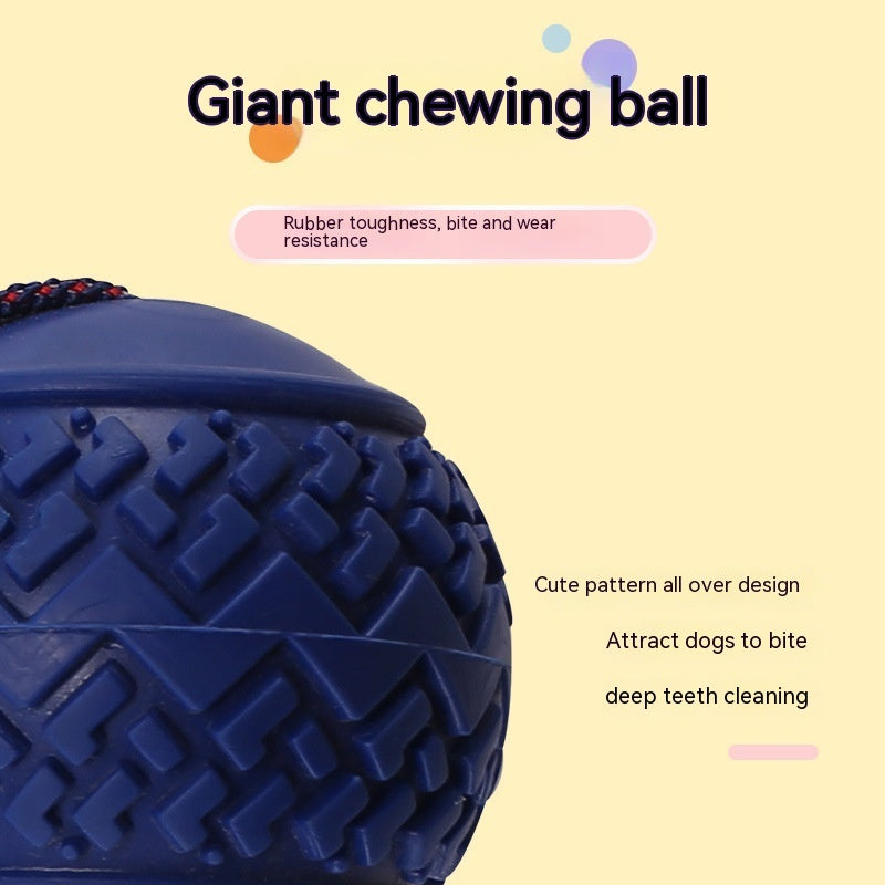 Toy Ball For Your Waggin' Wonder