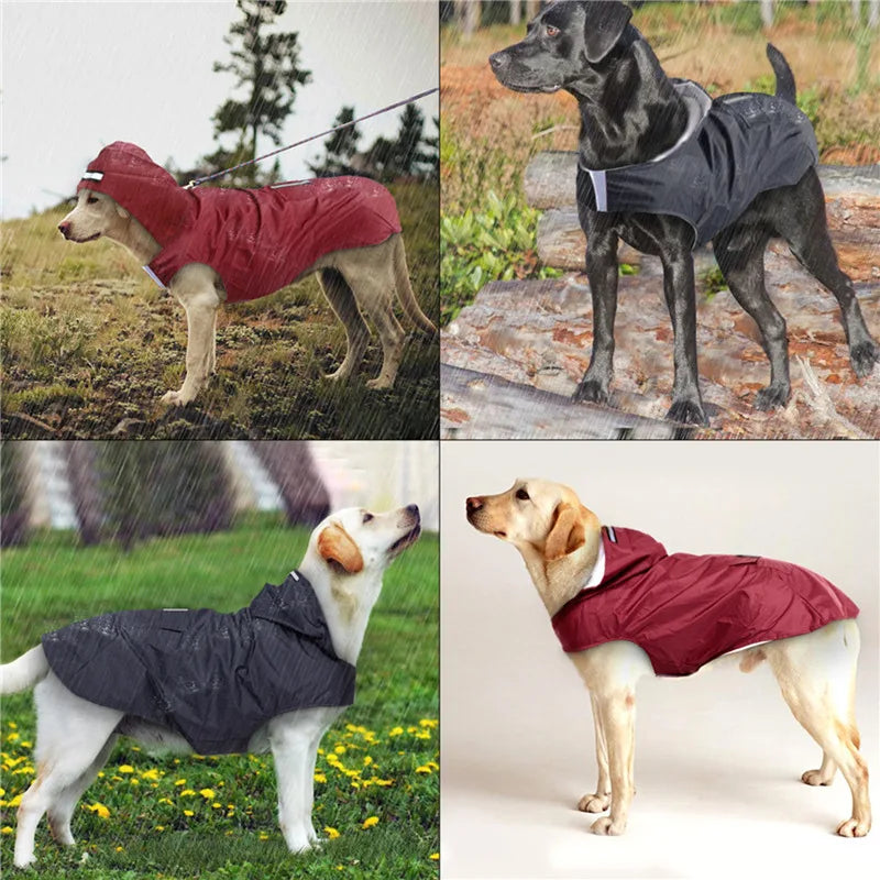 Incredible Dog Raincoat With Reflective Strips