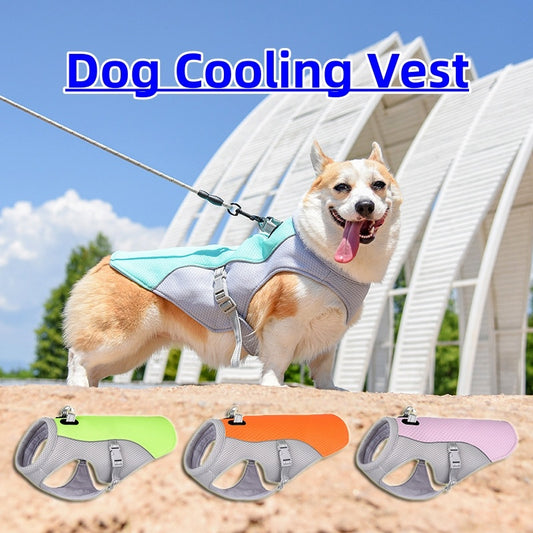 Fantastic Cooling Vest For Your Dog In Summers