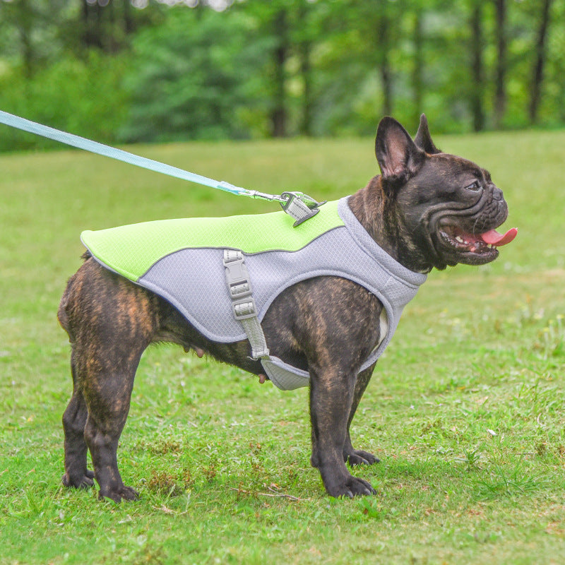 Fantastic Cooling Vest For Your Dog In Summers